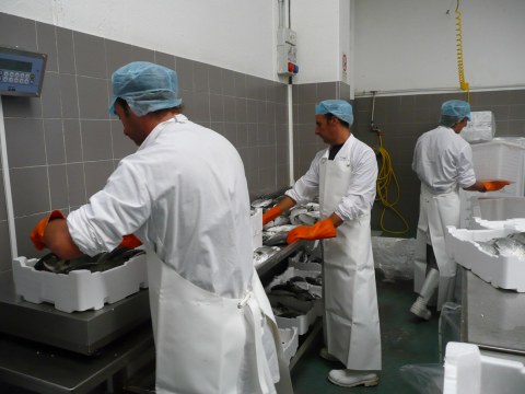 Image Not Found On Media Library