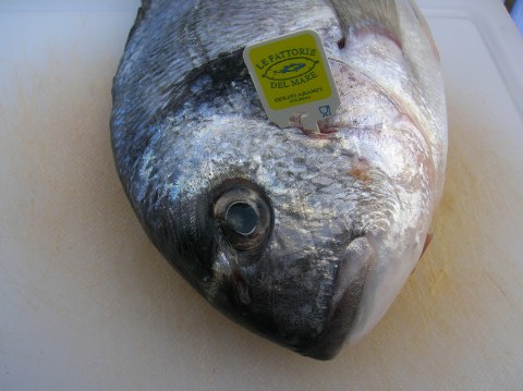 Image Not Found On Media Library