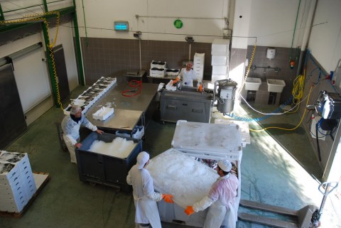 Image Not Found On Media Library