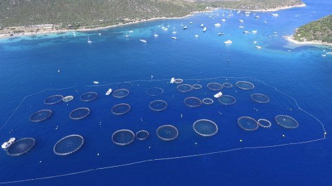 Image Not Found On Media Library