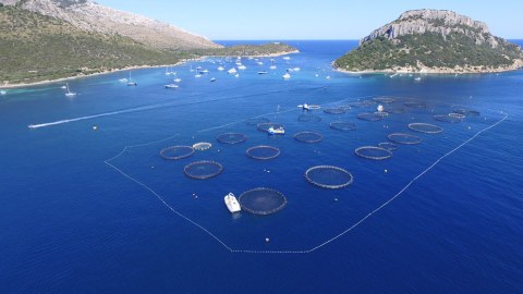 Image Not Found On Media Library