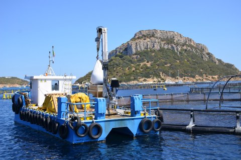 Image Not Found On Media Library