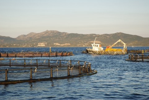 Image Not Found On Media Library