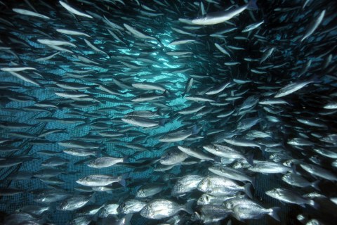 Image Not Found On Media Library