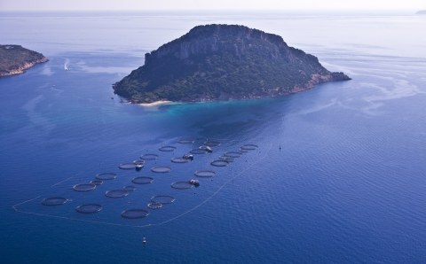 Image Not Found On Media Library