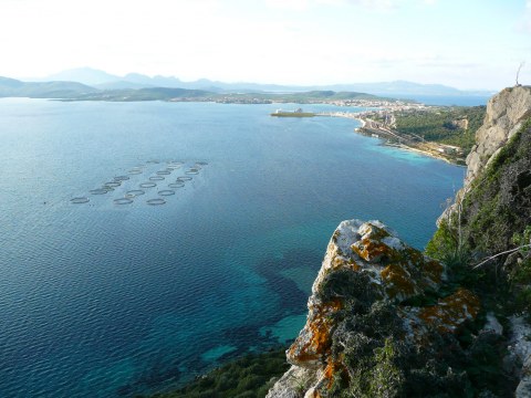 Image Not Found On Media Library