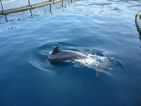 Image Not Found On Media Library