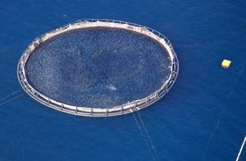 Image Not Found On Media Library