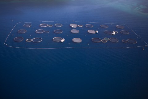 Image Not Found On Media Library