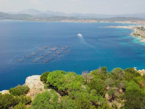 Image Not Found On Media Library