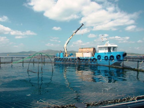 Image Not Found On Media Library