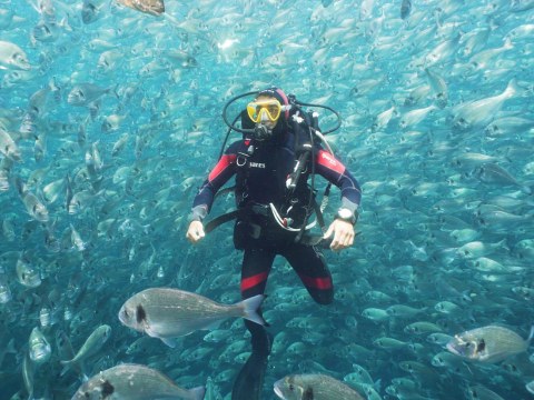 Image Not Found On Media Library