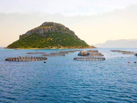 Image Not Found On Media Library