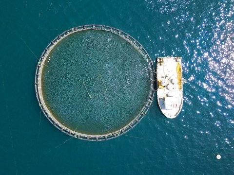 Image Not Found On Media Library