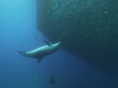 Image Not Found On Media Library