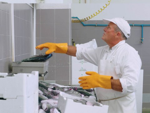 Image Not Found On Media Library