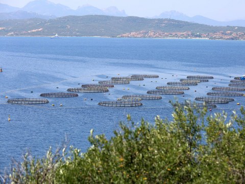 Image Not Found On Media Library