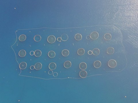 Image Not Found On Media Library