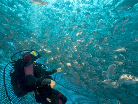 Image Not Found On Media Library