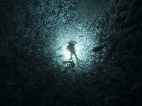 Image Not Found On Media Library